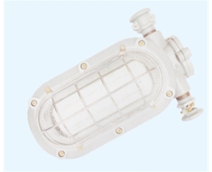 辽宁矿用隔爆型LED支架灯
